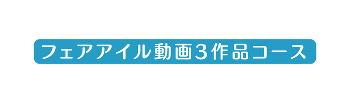 フェアアイル動画3作品コース