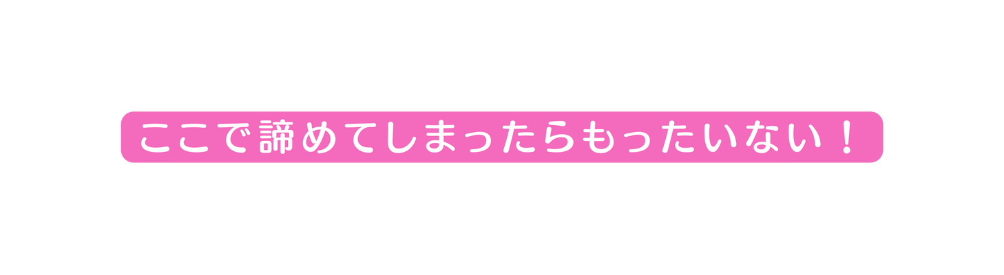 ここで諦めてしまったらもったいない